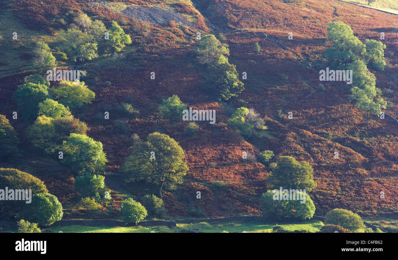 Le Lakeland Fells autour d Brotherswater Banque D'Images