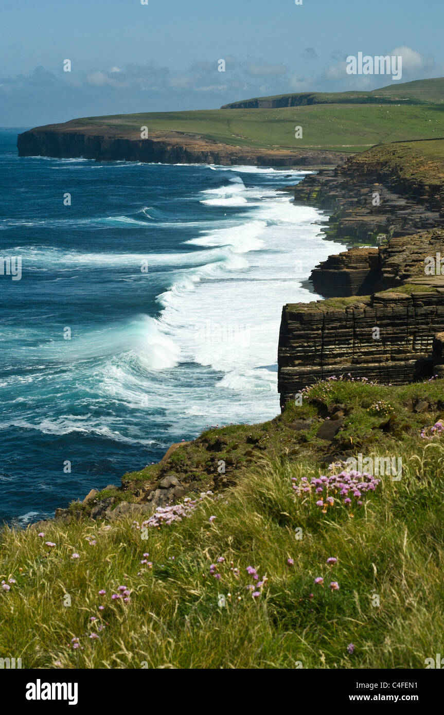BIRSAY dh côte nord des Orcades roses mer seacliffs Point surf vagues Skea Banque D'Images