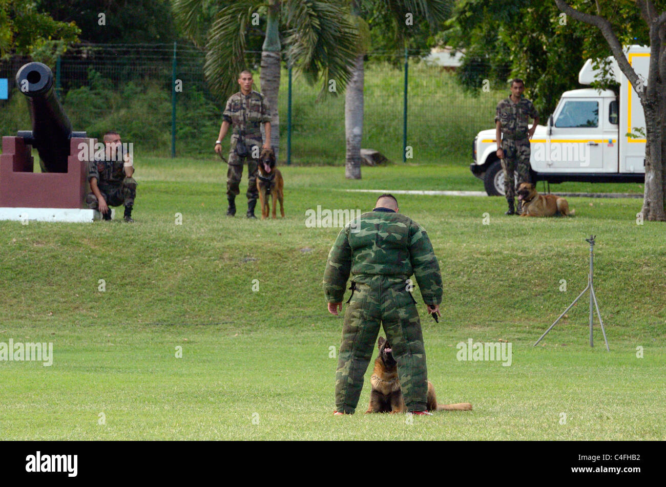 Montrer des forces françaises à la réunion de parachutistes Banque D'Images