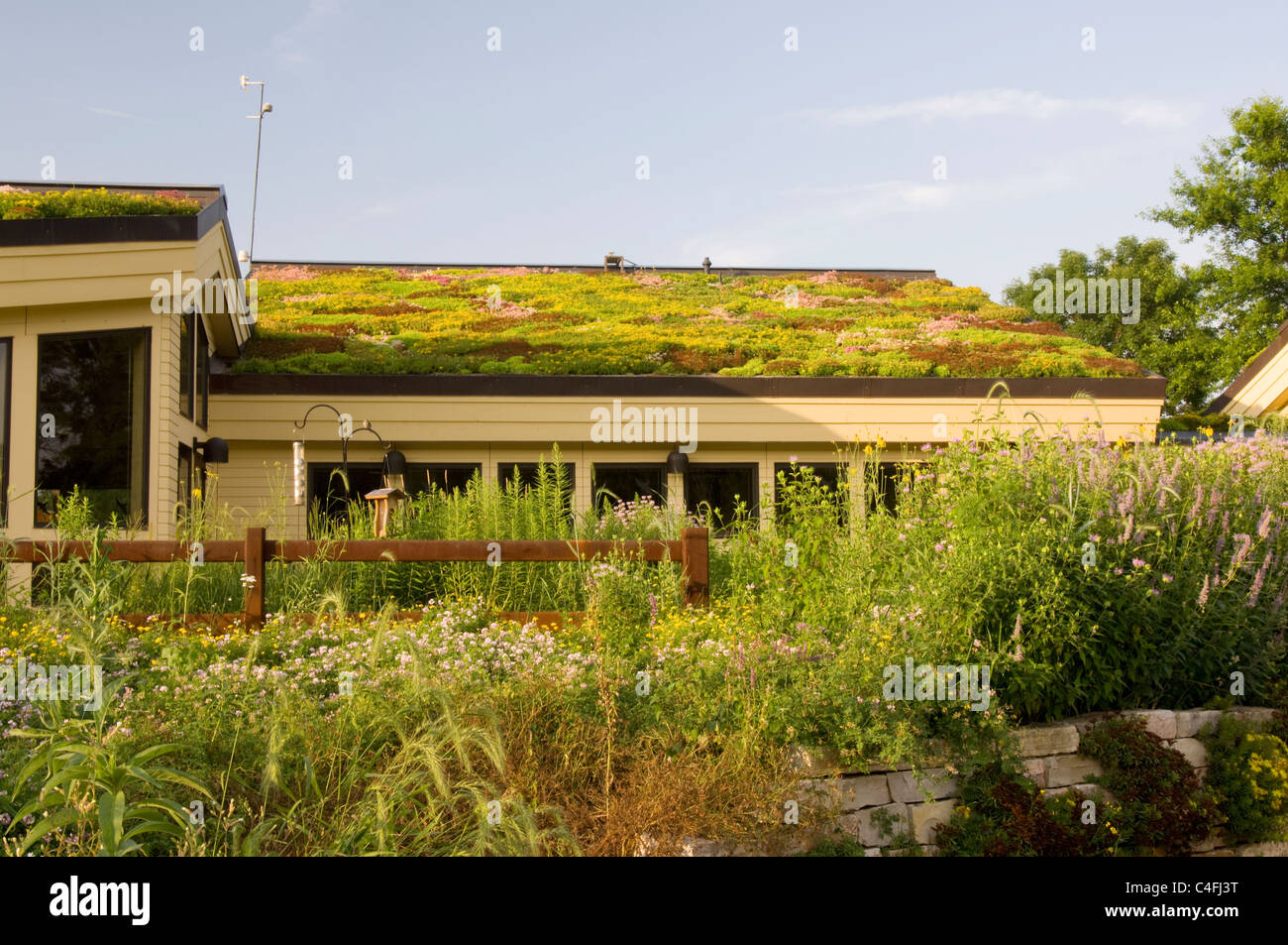 Liban Hills visitor centre à Eagan, Minnesota montrant la végétation sur le toit vert et jardins de plantes indigènes en premier plan Banque D'Images