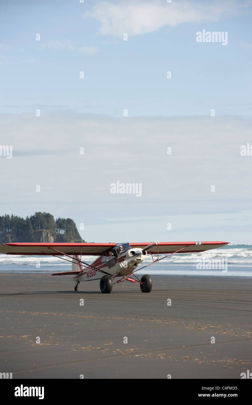 Piper Super Cub sur la plage de l'île de Hinchinbrook, Alaska- 2011 Valdez, Alaska Fly-in Banque D'Images