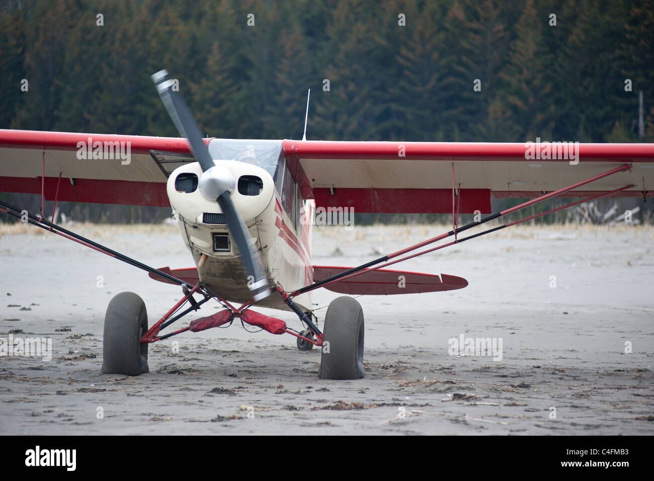 Piper Super Cub sur la plage de l'île de Hinchinbrook, Alaska- 2011 Valdez, Alaska Fly-in Banque D'Images