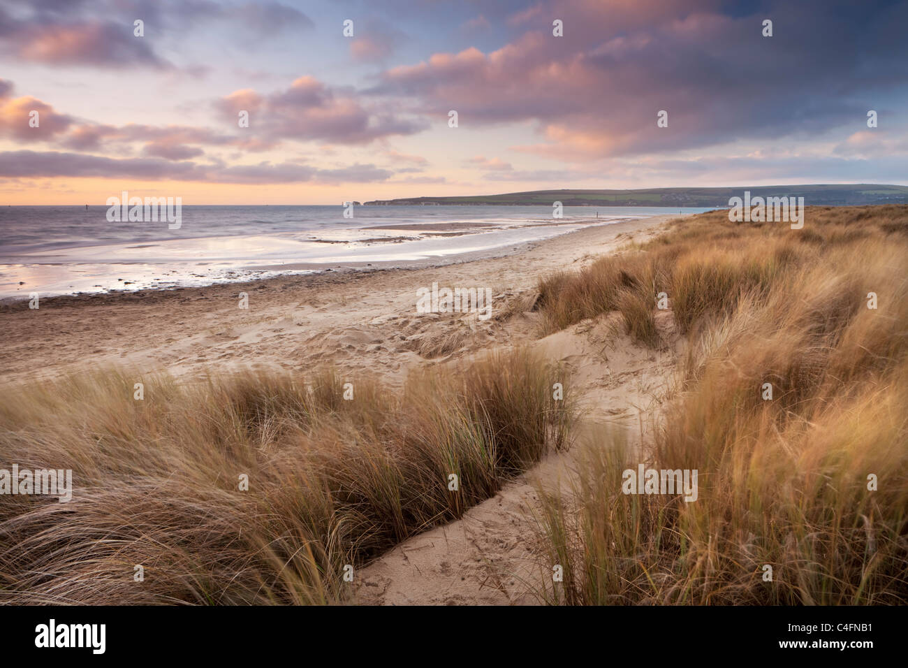 Dunes de sable balayées par le vent sur la plage de Studland Bay, Dorset, Angleterre. L'hiver (février) 2011. Banque D'Images