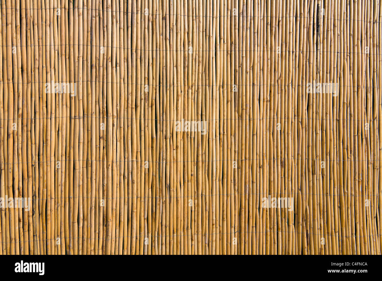 Bambou naturel texture détaillée mur en arrière-plan Banque D'Images