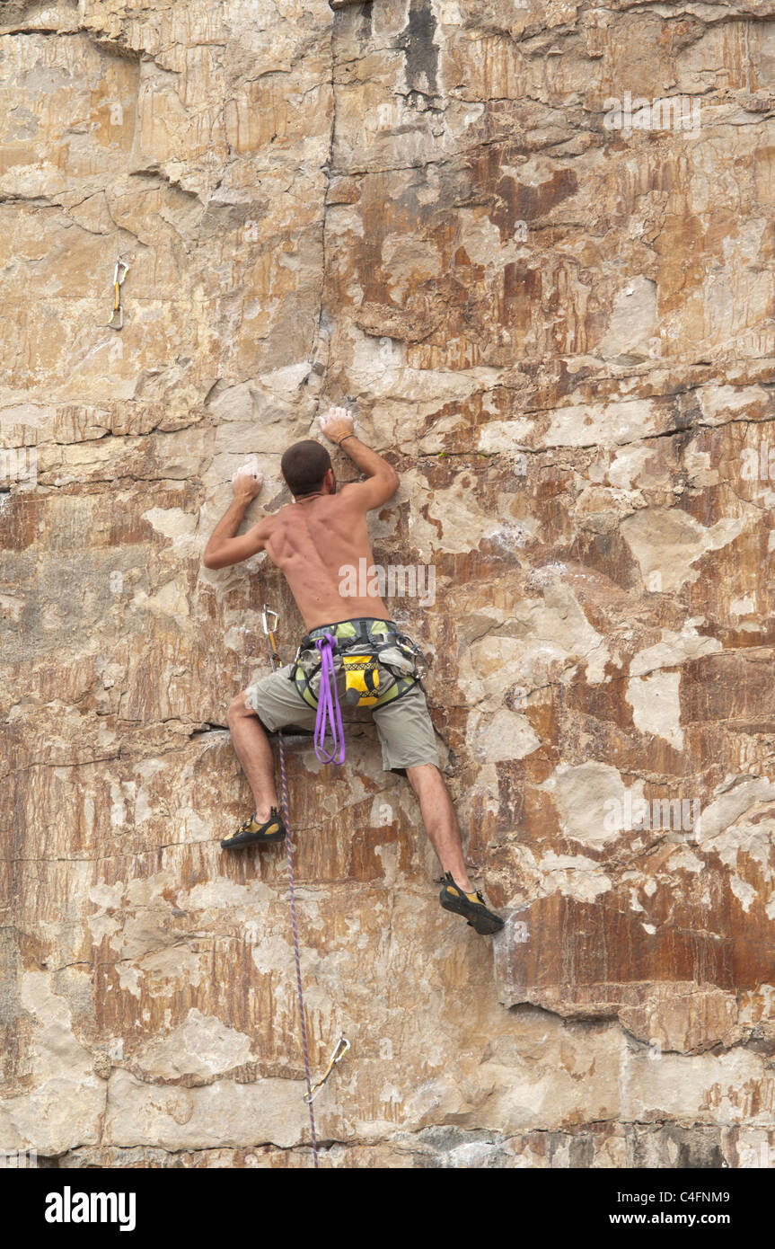 Dancing Ledge, Swanage, Dorset, UK. Juillet. L'escalade. Banque D'Images