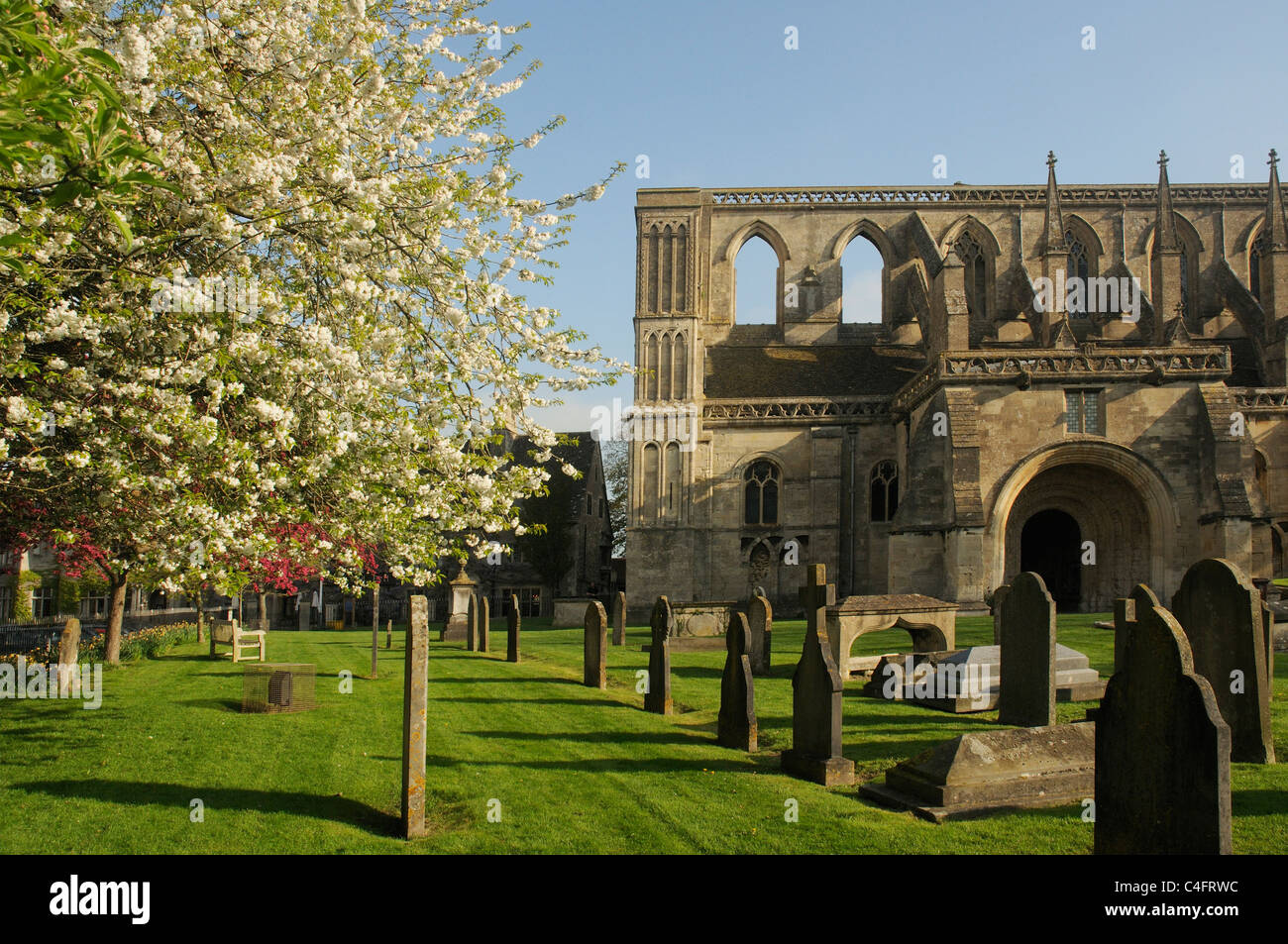 Les fleurs du printemps à l'abbaye de Malmesbury, Wiltshire, Angleterre Banque D'Images