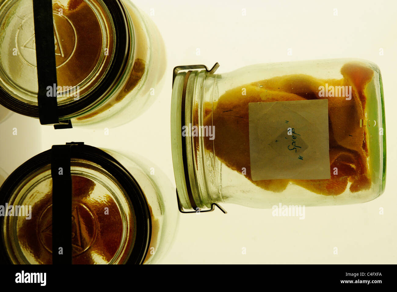 Les échantillons d'odeur de sueur humaine dans des bocaux en verre dans le musée de la Stasi à Berlin Est Banque D'Images
