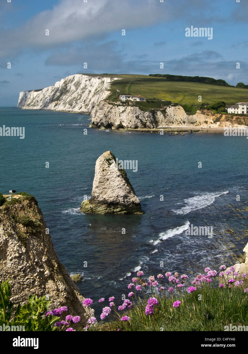 Île de Wight, l'eau douce Bay et Tennyson Down de Compton Vers le bas, l'OIEAU, England, UK. Banque D'Images