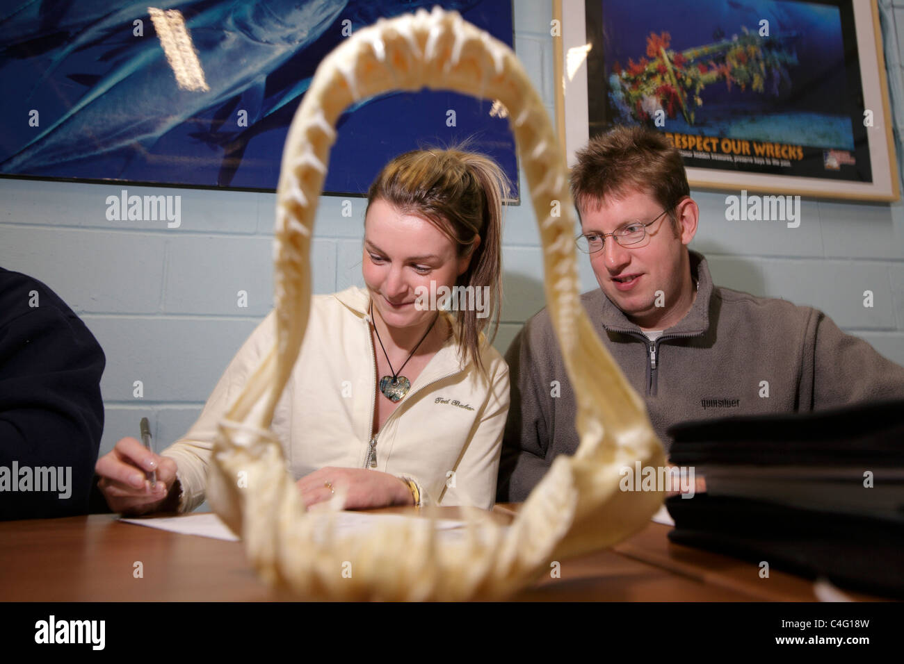 Un étudiant de plongée est encadrée par les mâchoires d'un requin tigre de sable pendant le cours PADI Cours de requins à l'aquarium Deep Sea World Banque D'Images