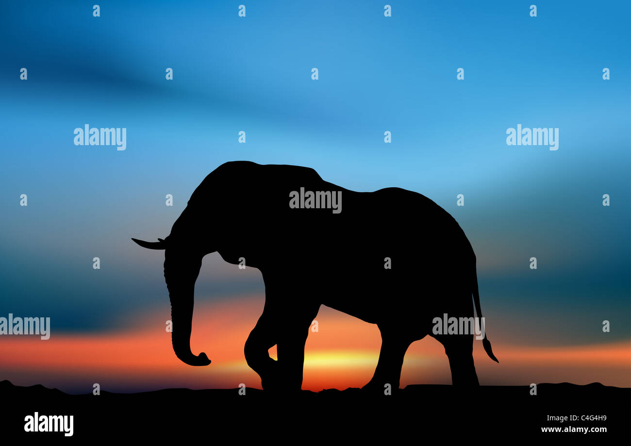 Éléphant dans la savane africaine au coucher du soleil. Illustration de l'Afrique Banque D'Images