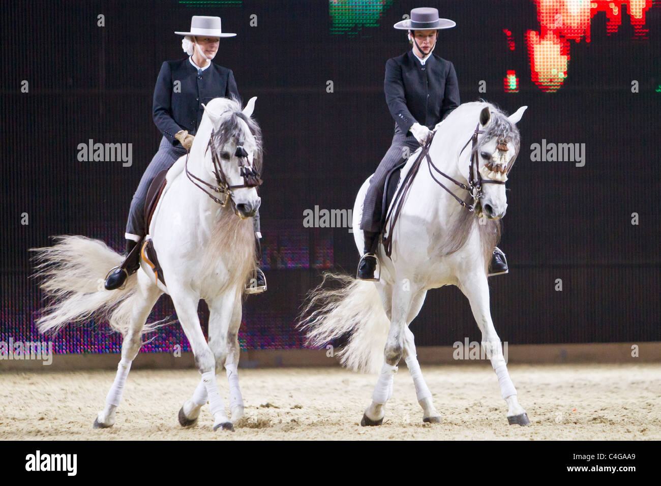 Dressage - deux femmes sur des chevaux élevés à l'espagnol pur Banque D'Images