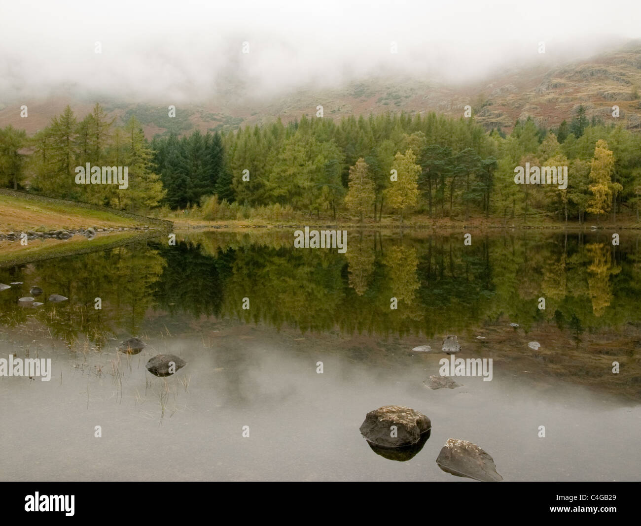 Un jour d'automne brumeux à Blea Tarn dans le Lake District Banque D'Images