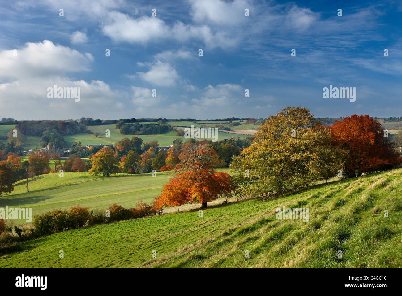 Minterne Magna, Dorset, Angleterre Banque D'Images