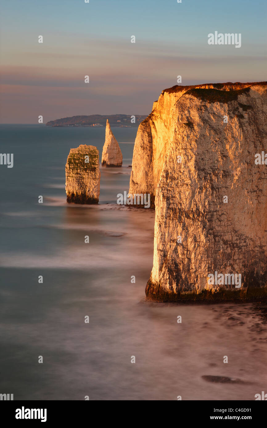 Old Harry Rocks, Handfast Point, Studland, Jurassic Coast, Dorset, Angleterre Banque D'Images Old Harry Rocks, Handfast Point, Studland, Jurassic Coast, Dorset, Angleterre Banque D'Images