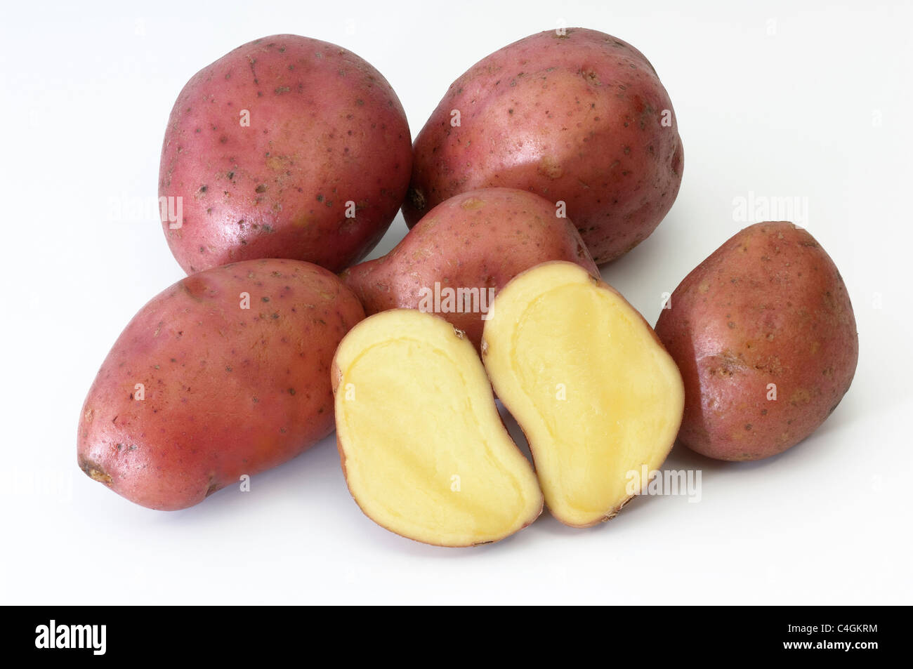 La pomme de terre (Solanum tuberosum) fantaisie rouge. Les Tubercules, studio photo sur un fond blanc. Banque D'Images