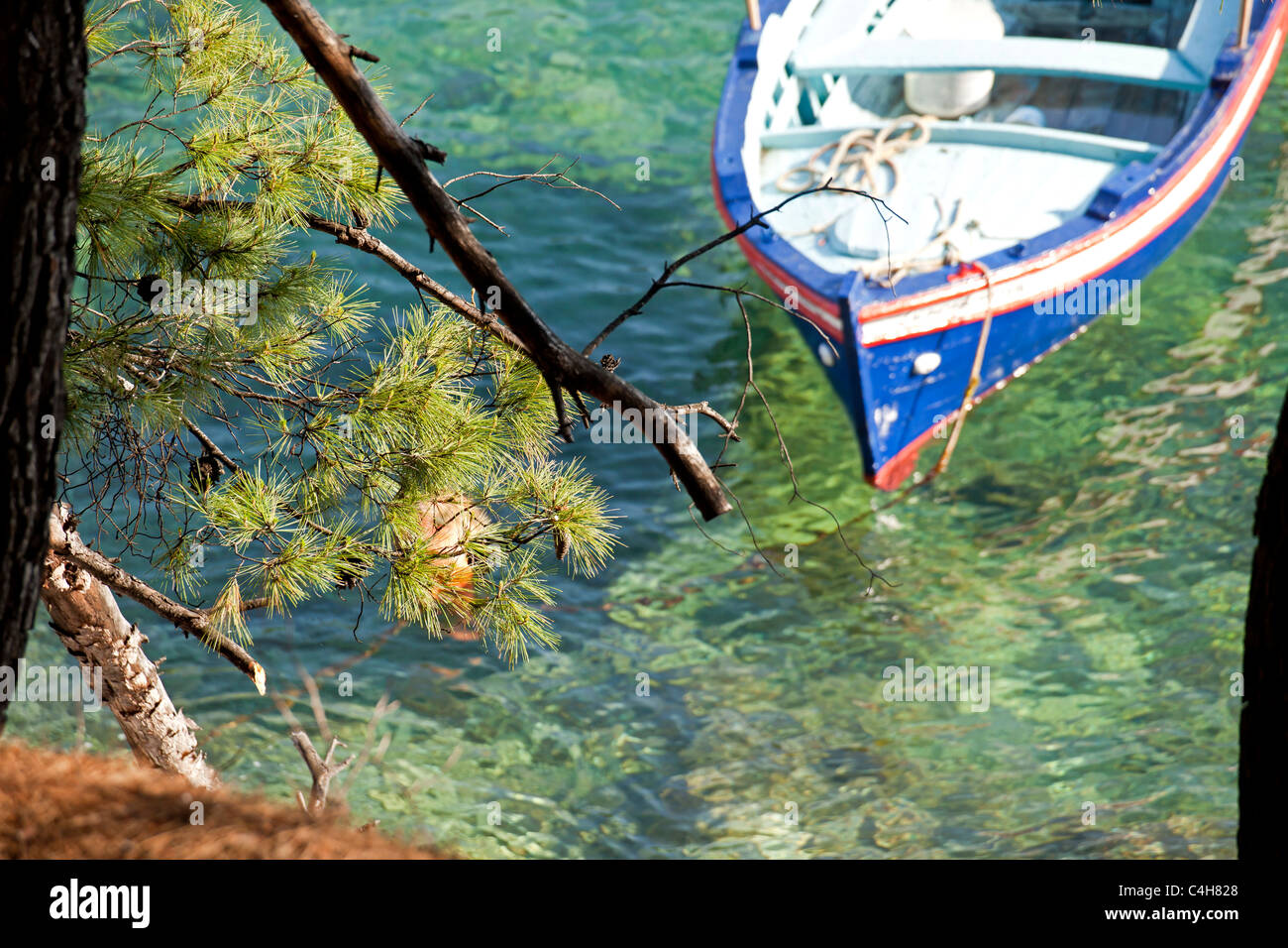 Petit bateau dans l'eau claire de Agnondas, île de Skopelos, Sporades du Nord, Grèce Banque D'Images