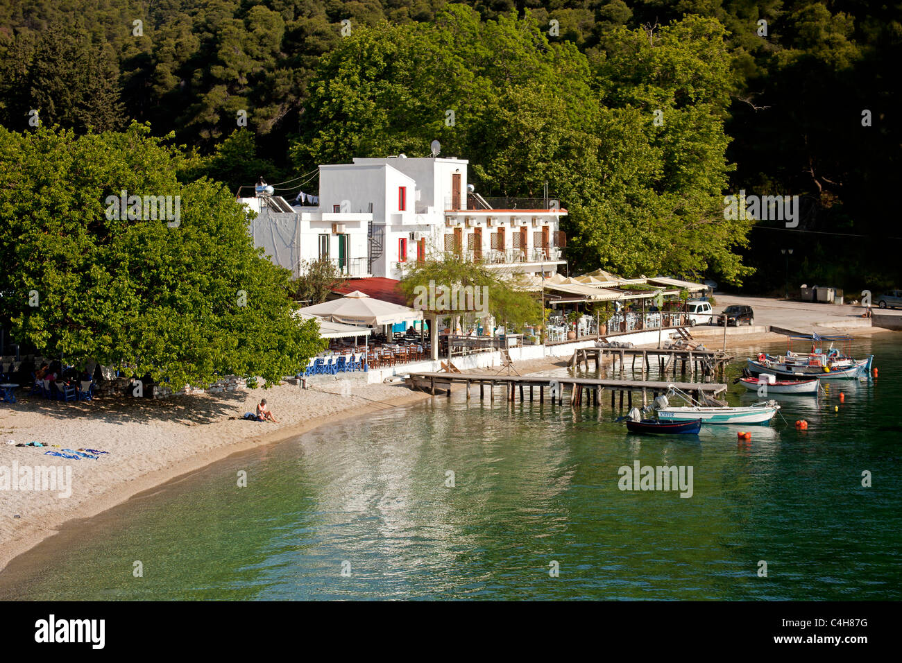 Port et Plage au petit village de pêcheurs de Agnondas, île de Skopelos, Sporades du Nord, Grèce Banque D'Images