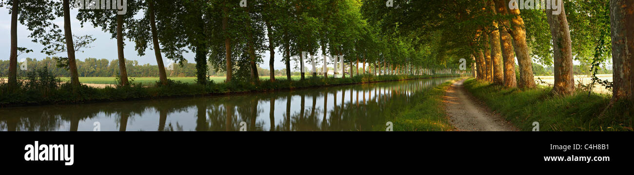 Le Canal du Midi à l'aube près de Castelnaudary, Aude, Languedoc-Roussillon, France Banque D'Images