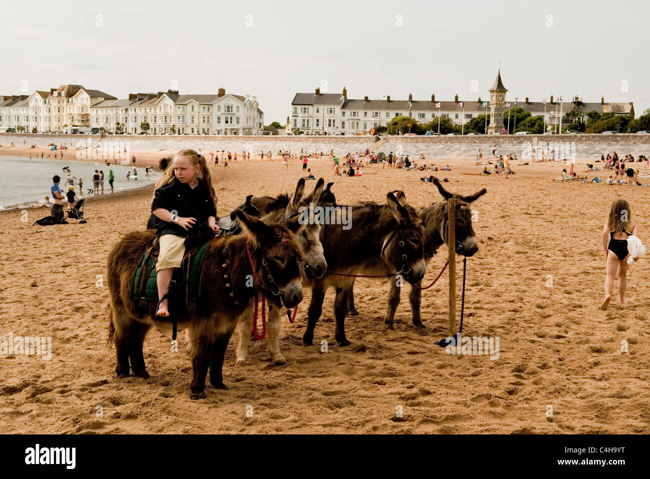 D'âne sur la plage d'Exmouth, Devon, England, UK Banque D'Images