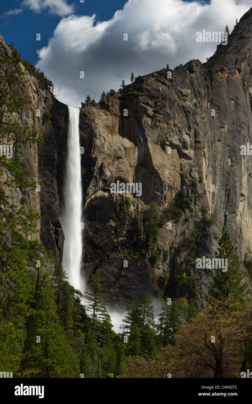 Le Parc National Yosemite chutes Bridal Veil Falls nous ressort soyeux le plein débit, la brume à la base au-dessus des arbres, révélant la lumière sur falaise low angle Banque D'Images