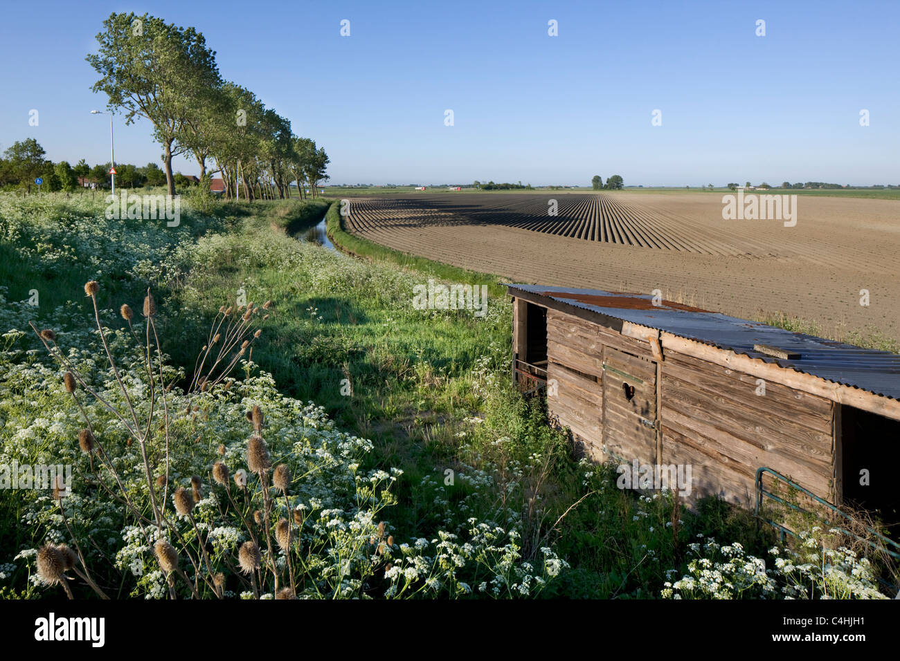 Grange le long champ à Schouwen, Schouwen-Duiveland, Zélande, Pays-Bas Banque D'Images