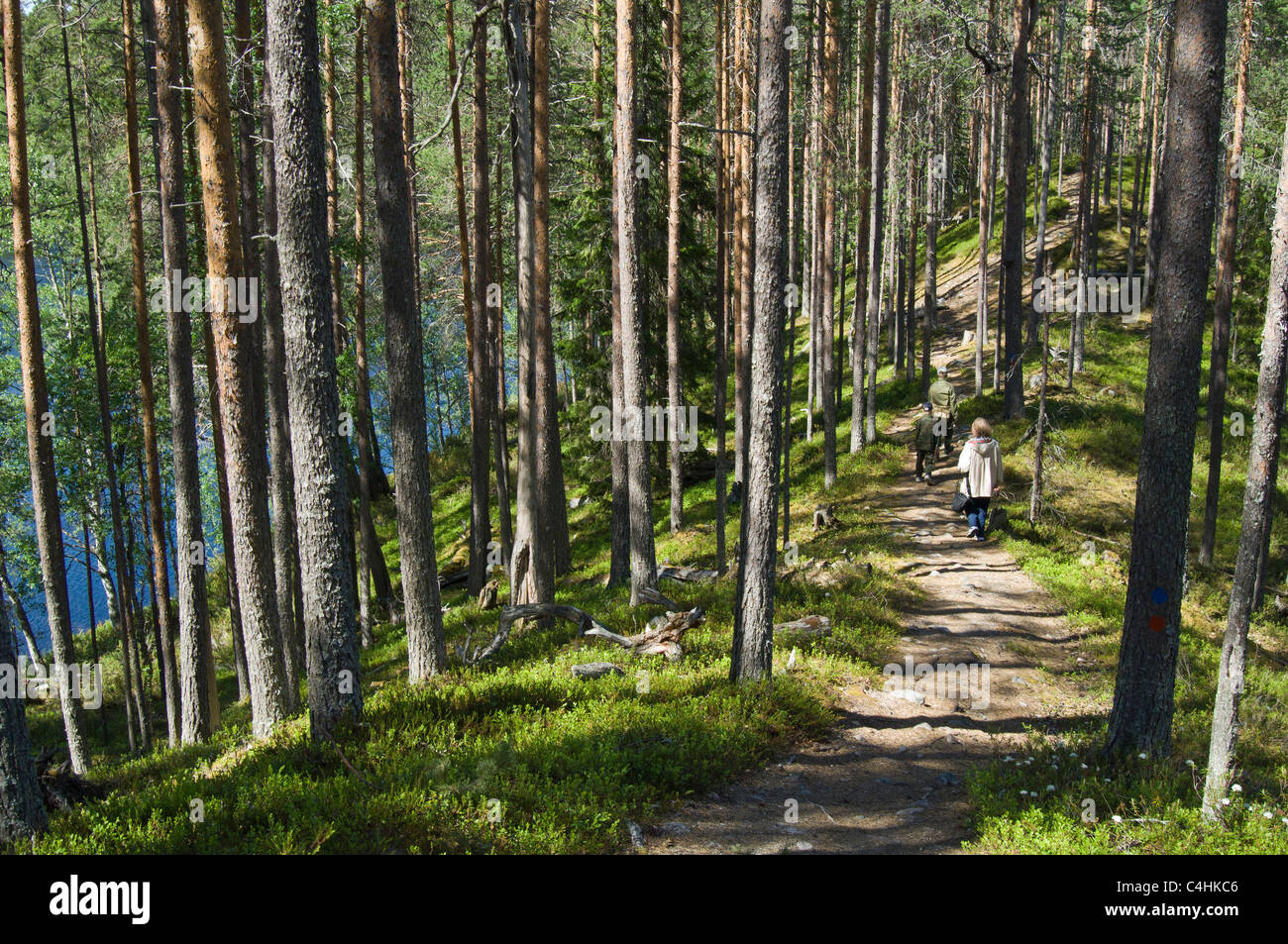 Excursionnistes sur le sentier Banque D'Images