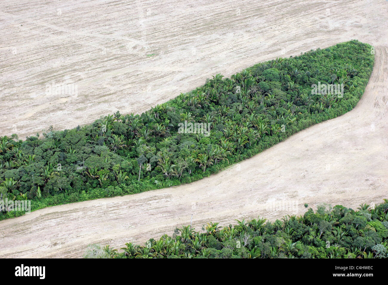 Jeu de forêt amazonienne pour plantation de soja, près de Santarem, l'État de Para au Brésil. La déforestation pour l'agribusiness Banque D'Images