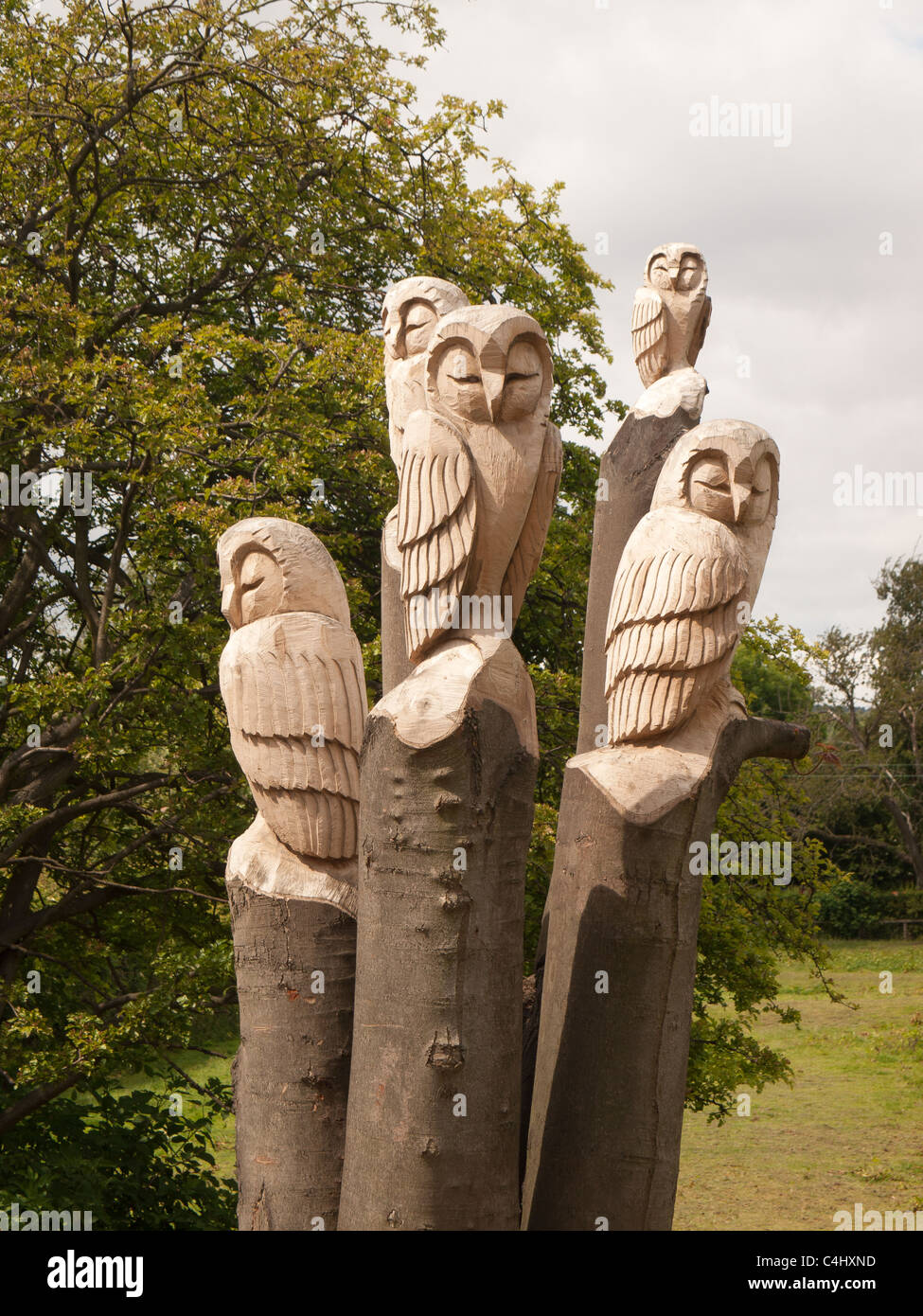 La sculpture sur bois de cinq hiboux à Guisborough Walkway Pinchinthorpe Cleveland UK Banque D'Images