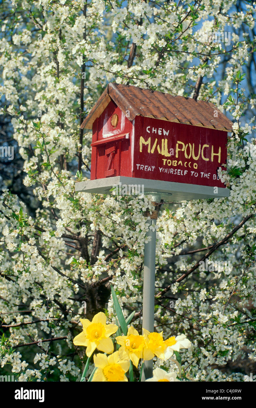 Grange rouge fait main peint comme une cabane d'étable du tabac sur l'éventaire dans un arbre en fleurs de printemps en poire Banque D'Images