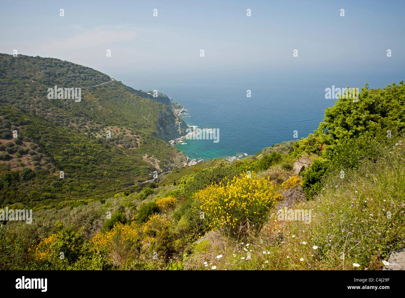 Les pentes montagneuses une côte nord de l'île de Skopelos, Sporades du Nord, Grèce Banque D'Images