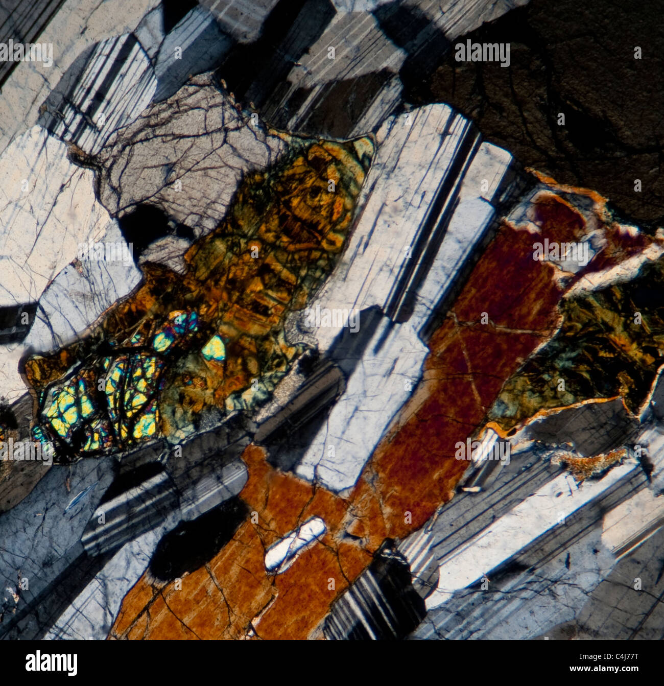 Photomicrographie de 5.2.11 Remplir de gabbro. Mag. X20 Banque D'Images