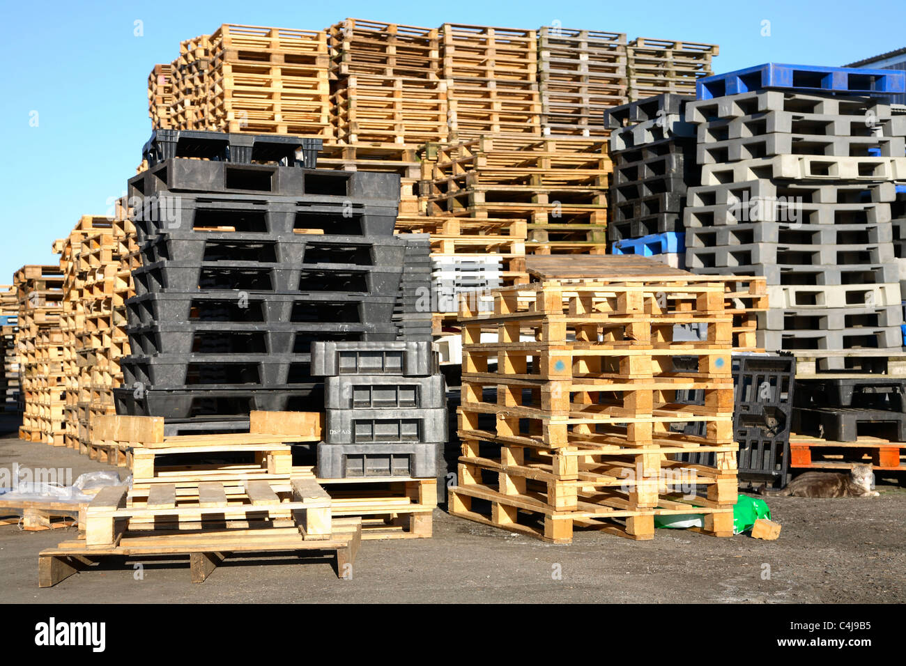 Des piles de palettes en bois et en plastique à l'extérieur d'une vente aux enchères du poisson et de l'industrie d'exportation Banque D'Images