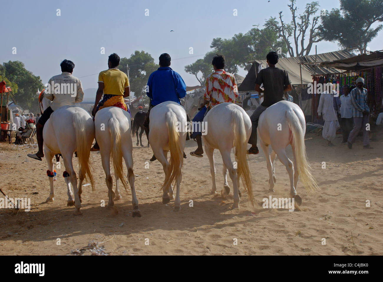 Horse Show à Camel Foire annuelle, Pushkar Banque D'Images