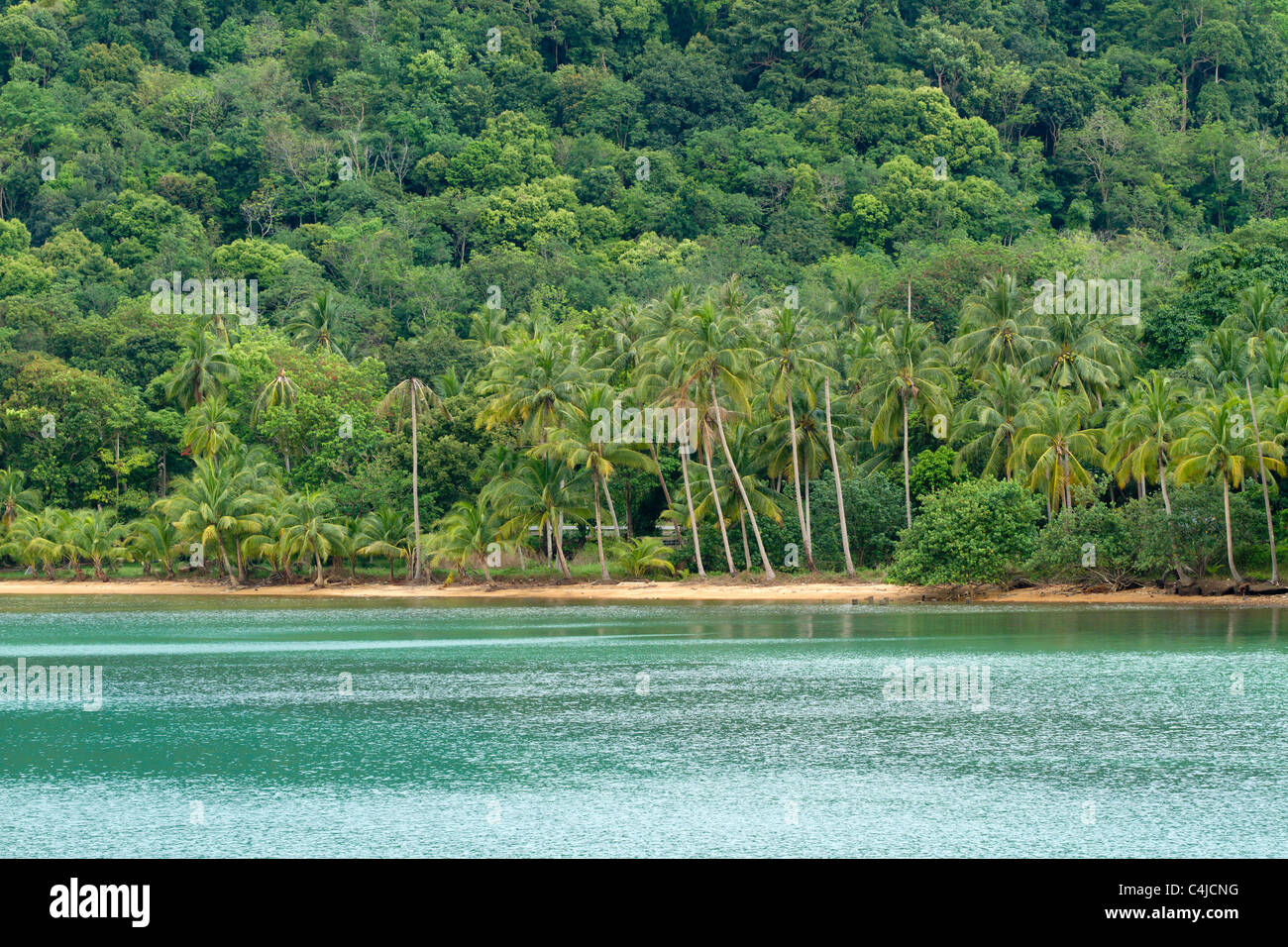 Belle plage tropicale et dans la forêt tropicale de l'île de Ko chang, Thaïlande Banque D'Images