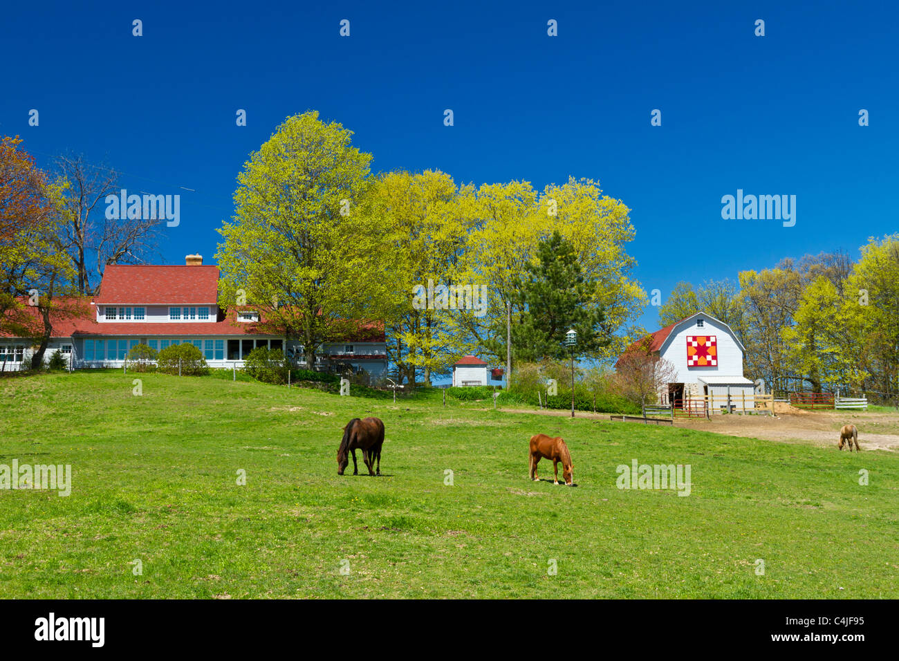 Un ranch maison avec grange et chevaux qui broutent dans les pâturages sur le Minervois, au Michigan, aux États-Unis. Banque D'Images