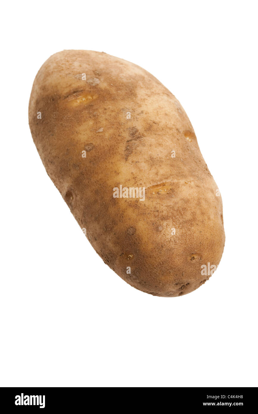 De pommes de terre roussâtres avec fond blanc Banque D'Images