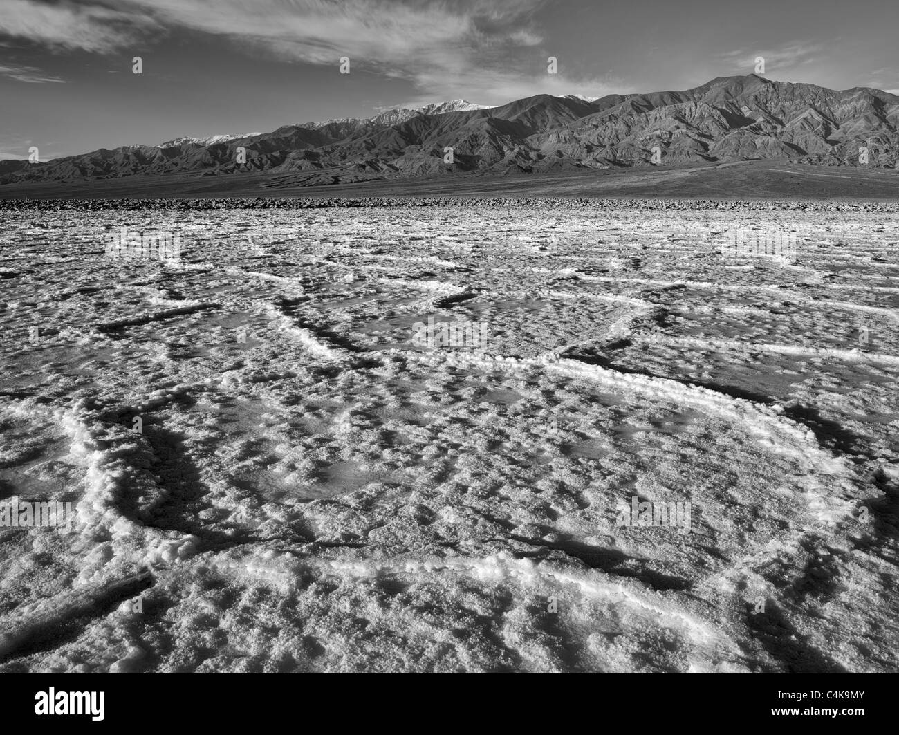 Polygones de sel. Près de Badwater. Death Valley National Park, en Californie. Banque D'Images