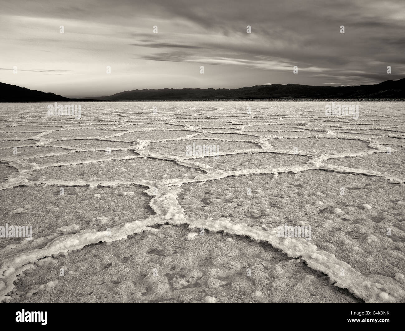 Polygones de sel. Près de Badwater. Death Valley National Park, en Californie. Banque D'Images