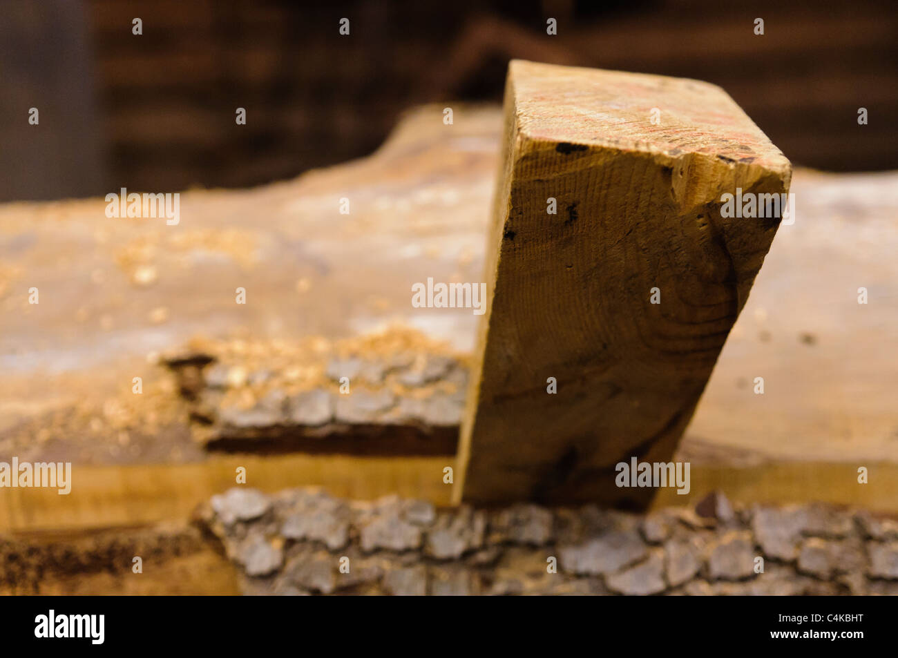 Cale en bois enfoncés dans un tronc d'arbre à couper du bois d'œuvre Banque D'Images