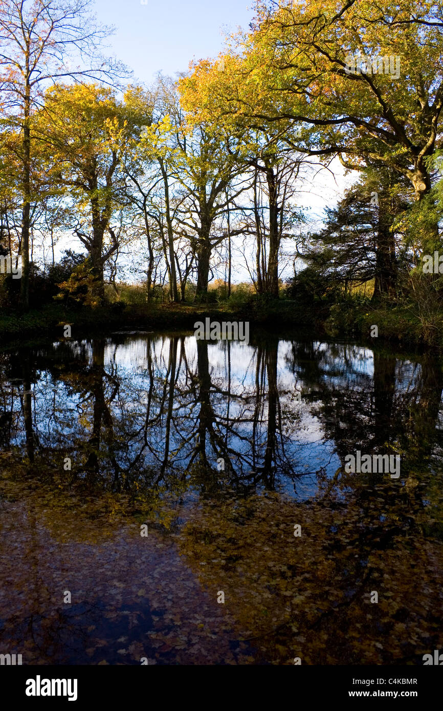 Les feuilles des arbres environnants line un étang sur un après-midi d'automne. Banque D'Images