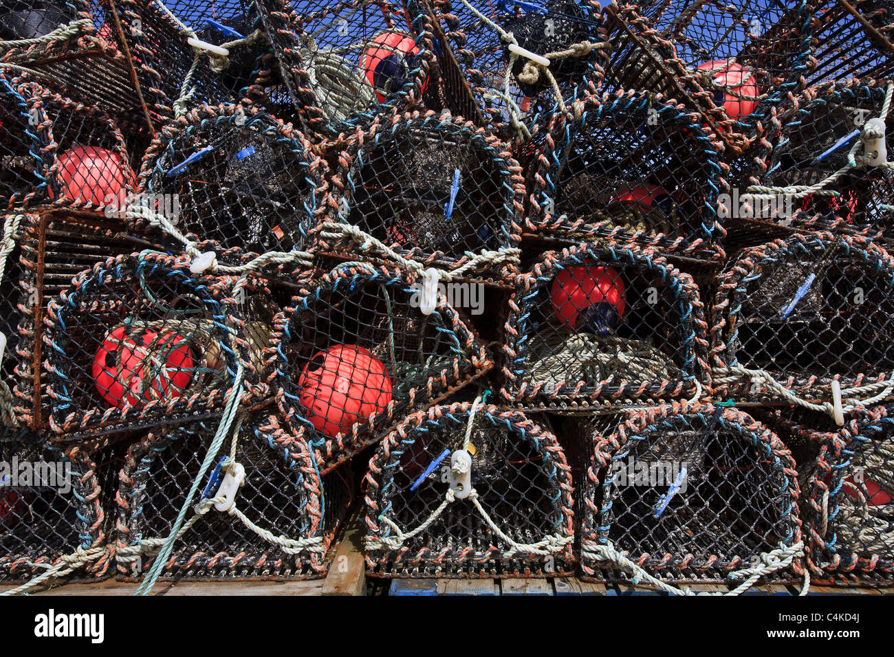 Des casiers à homard sur le port de Tobermory sur l'île de Mull, Hébrides intérieures. Banque D'Images