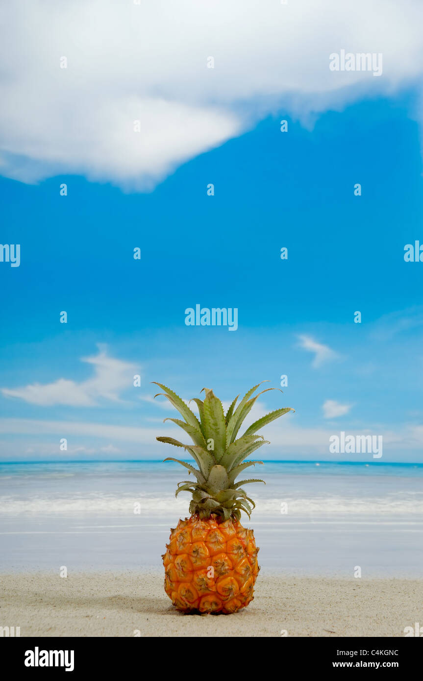 L'ananas sur la plage près de l'eau. Bleu et blanc avec un ciel nuageux. Banque D'Images