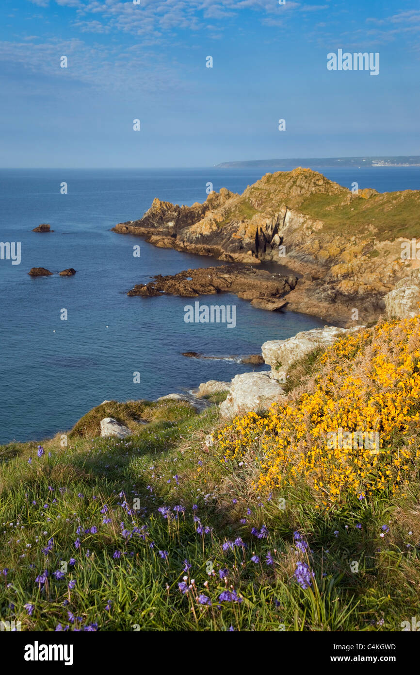 Cudden Point ; près de Prussia Cove ; Mount's Bay, Cornwall Banque D'Images