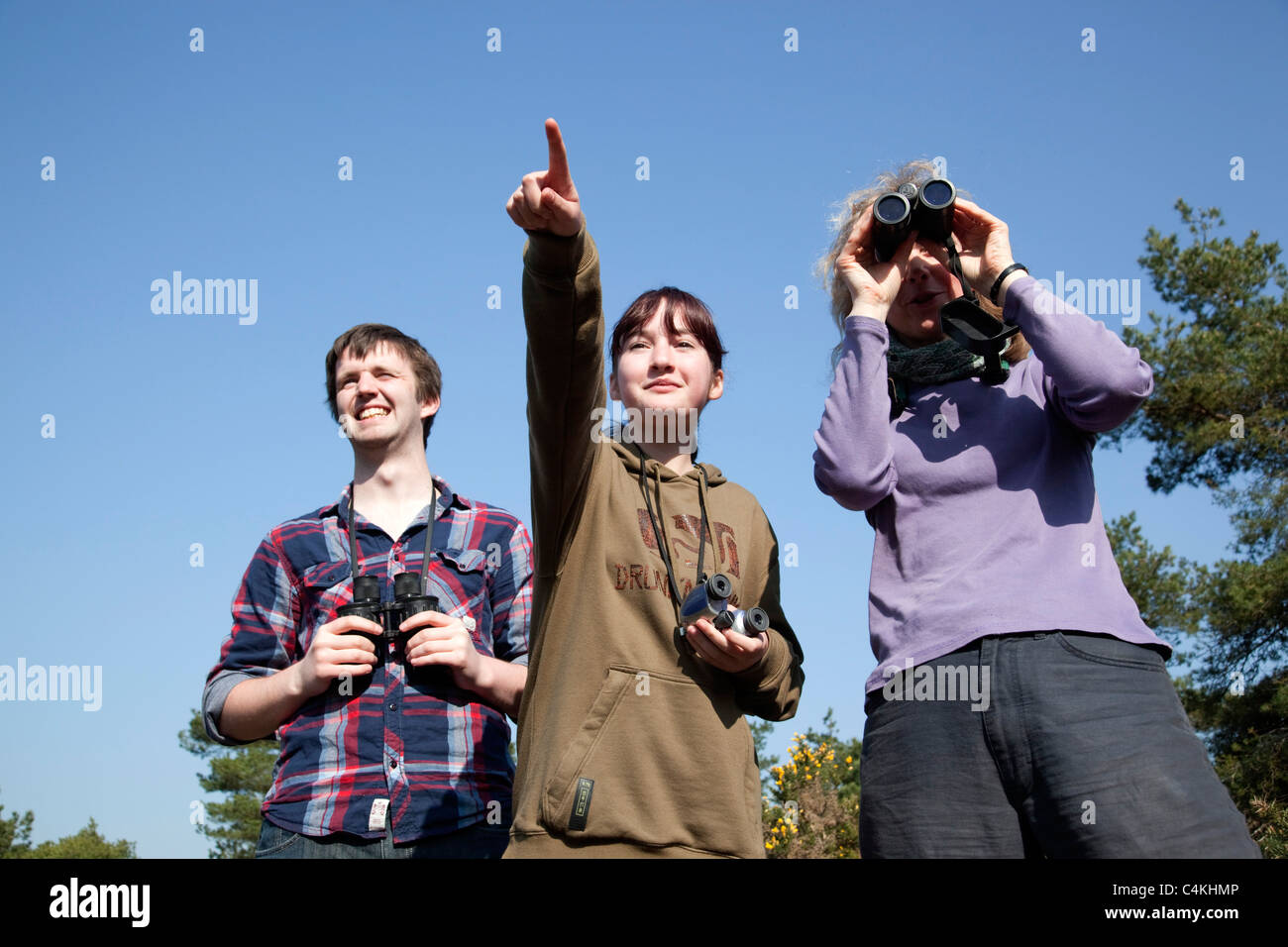 L'observation des oiseaux ; trois personnes ; Godolphin, Cornwall Banque D'Images