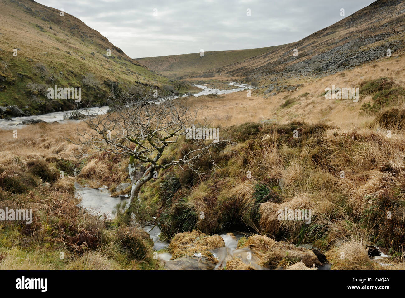 Un ruisseau qui coule à travers Tavy Cleave, Dartmoor. Banque D'Images