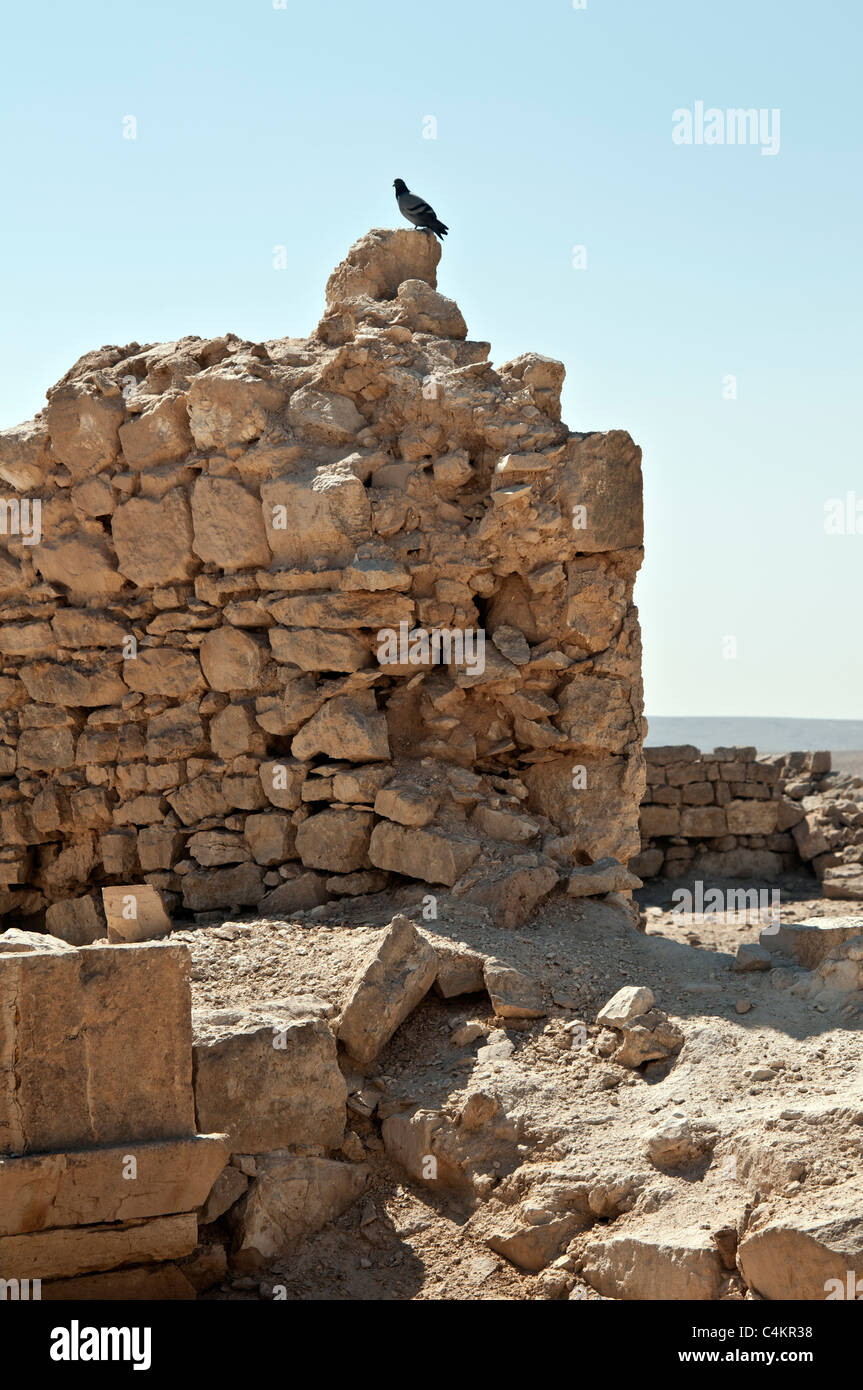 Shivta ,ville byzantine nabatéennes, désert du Néguev, Israël Banque D'Images