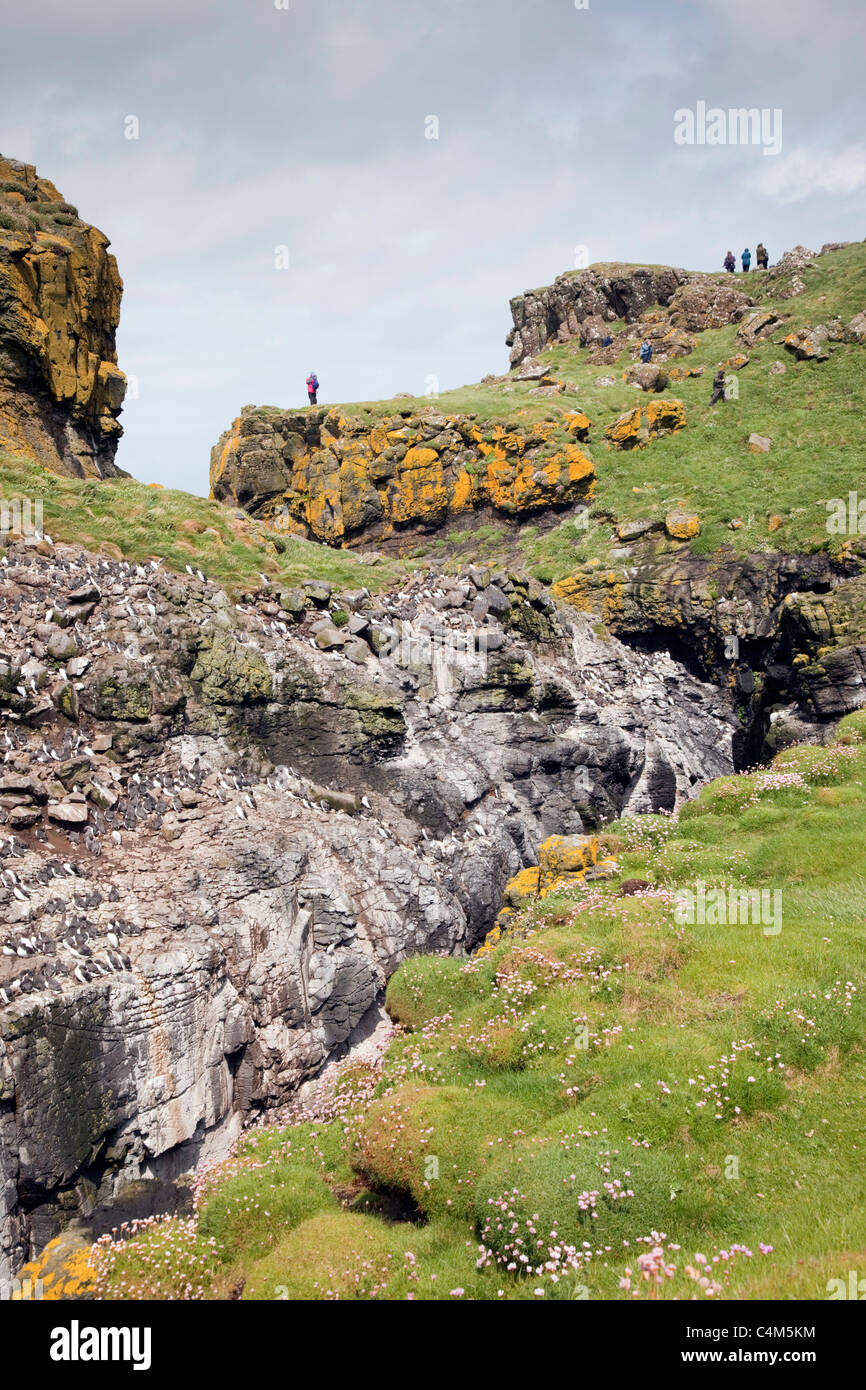 Lunga ; Îles Treshnish ; l'Ecosse Banque D'Images