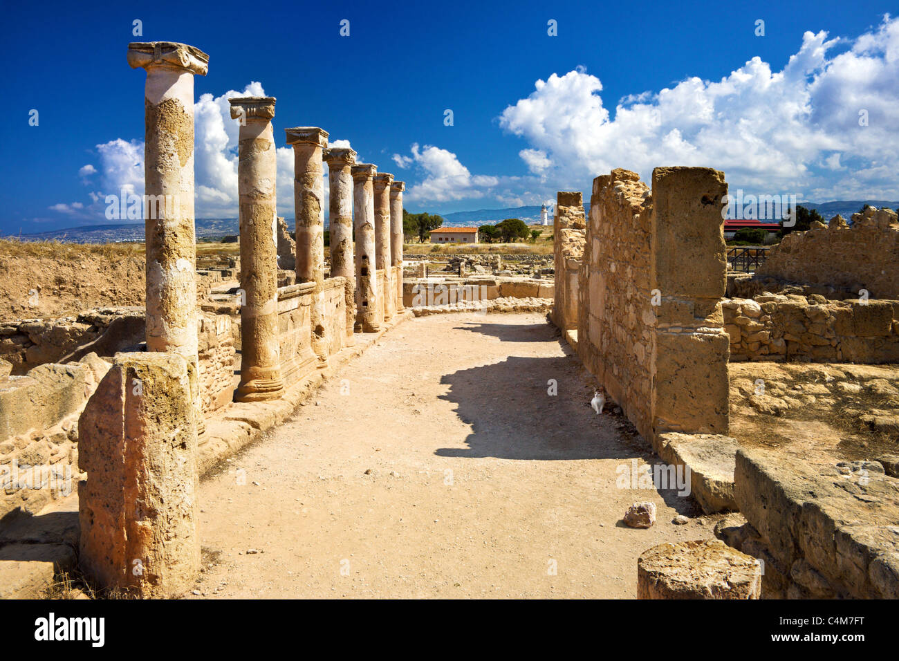 Colonnes romaines, maison de Theseus,, Parc archéologique de Paphos, Paphos, Chypre, Banque D'Images