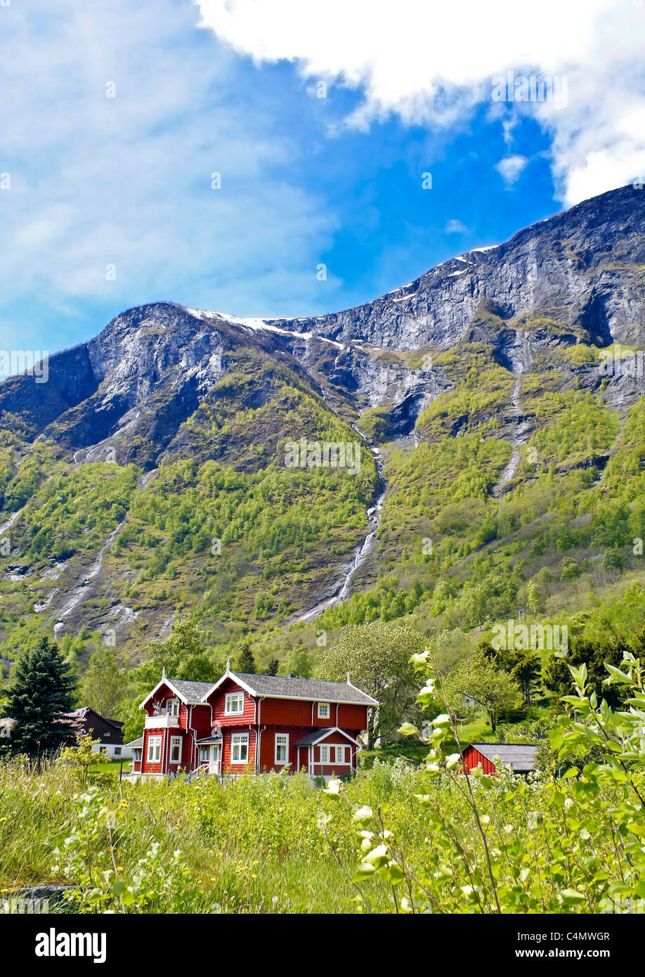 Summerhouse, champs verts et enneigés des montagnes à Sogn, Flam, Fjords norvégiens à l'été. Banque D'Images