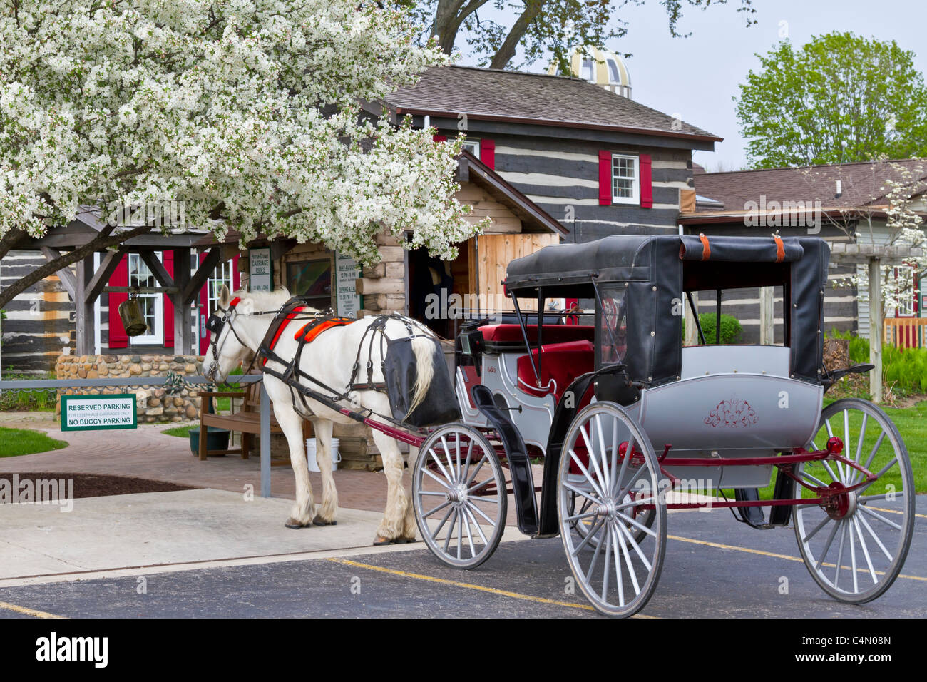 Un cheval et un chariot pour vélos à l'Essenhaus ferme à Middlebury, Indiana, USA. Banque D'Images